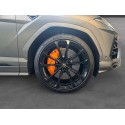 LAMBORGHINI URUS 4.0 V8 650 ch BVA8 // FULL COVERING PPF MATT