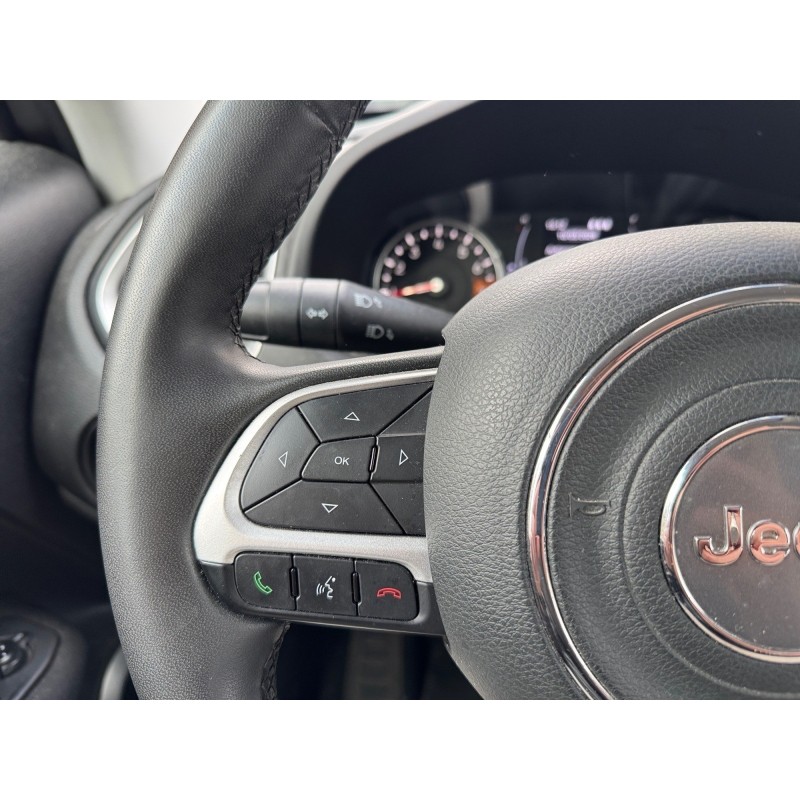 JEEP RENEGADE 1.4 I MultiAir SS 140 ch Longitude Business Garantie 12 mois